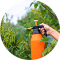 Bio Pesticide & Fungicides