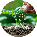 Biostimulant & P.G.R