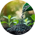 Major Nutrient & Trace Elements