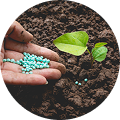 Micro Nutrients Fertilizers (Chelated)