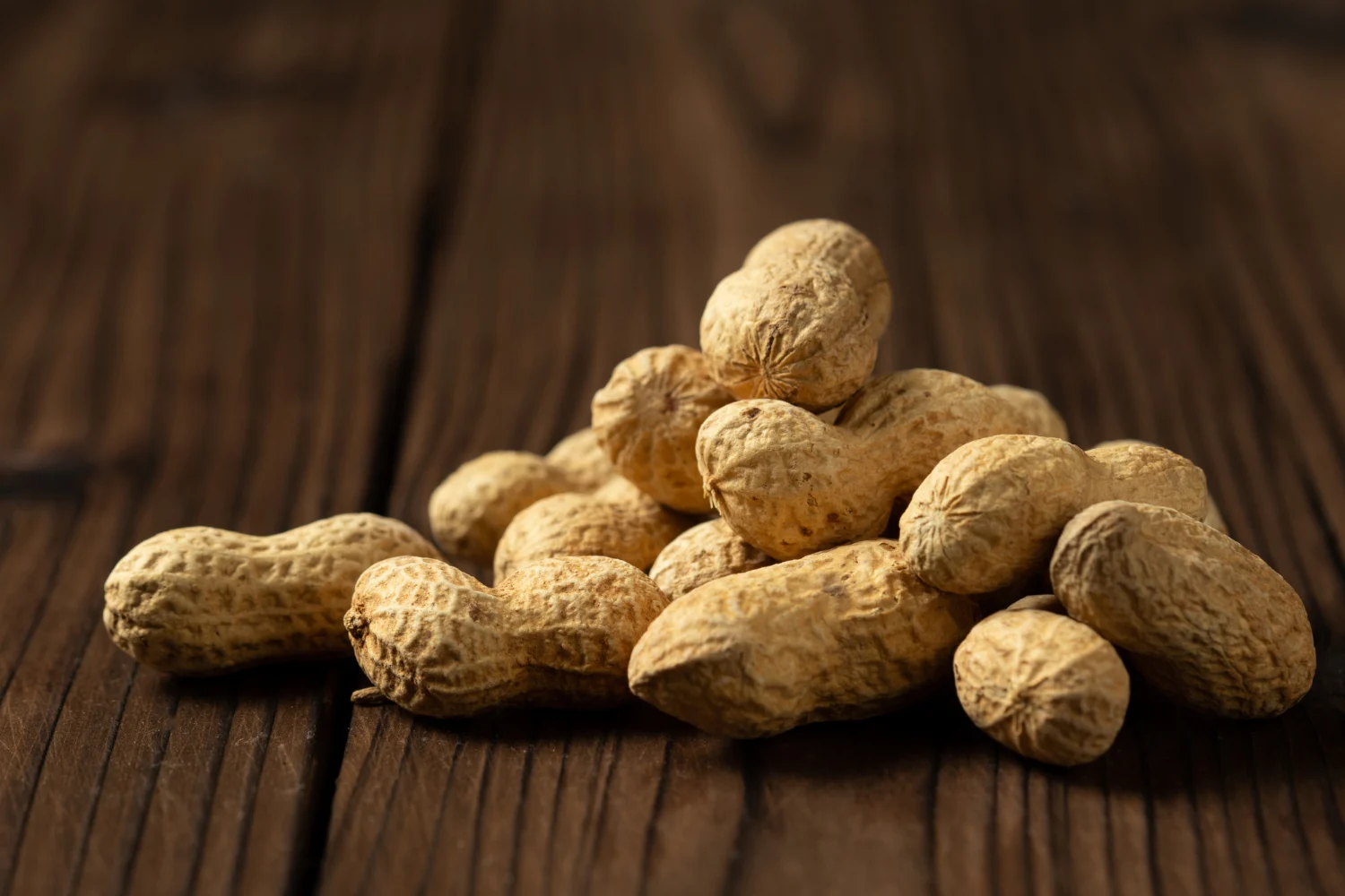 Oilseeds