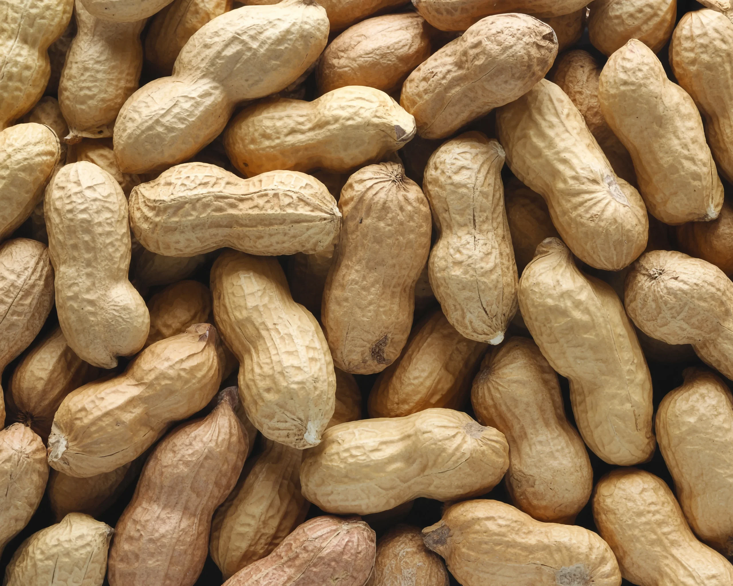 Groundnut (Moongphali) Guide